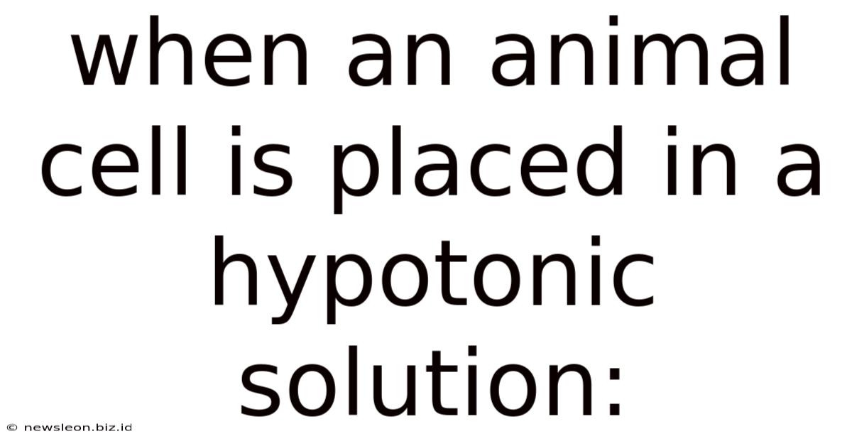 When An Animal Cell Is Placed In A Hypotonic Solution: