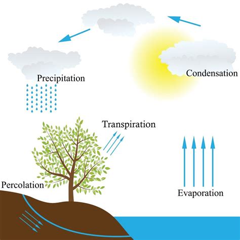 When Does Fog Form In Inlets And Bays