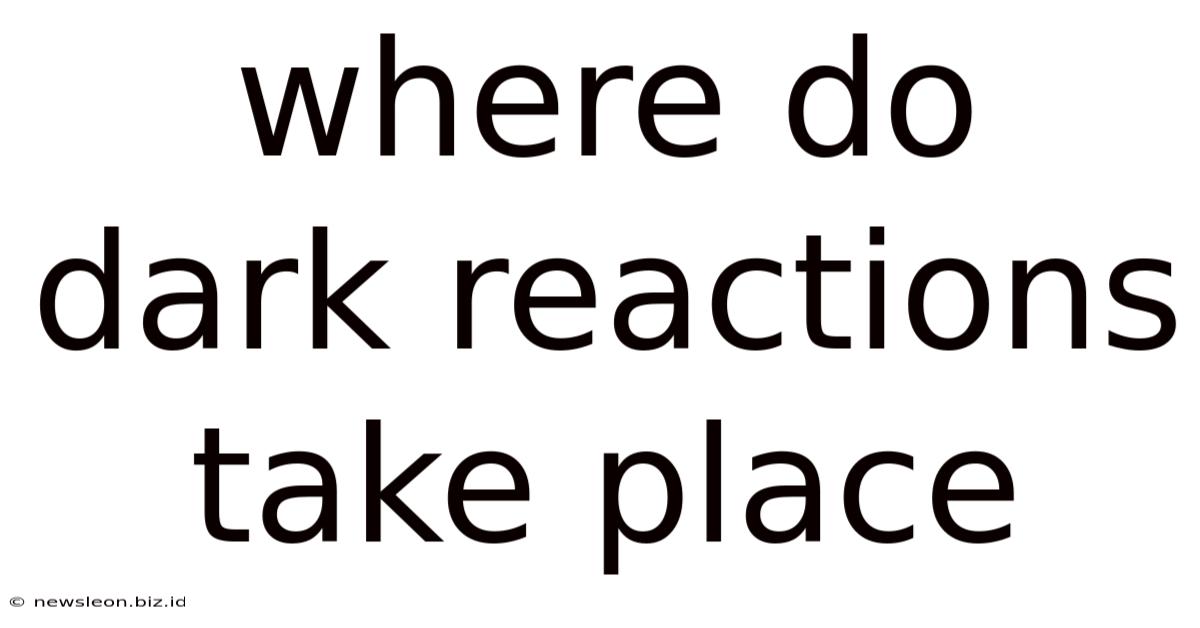 Where Do Dark Reactions Take Place