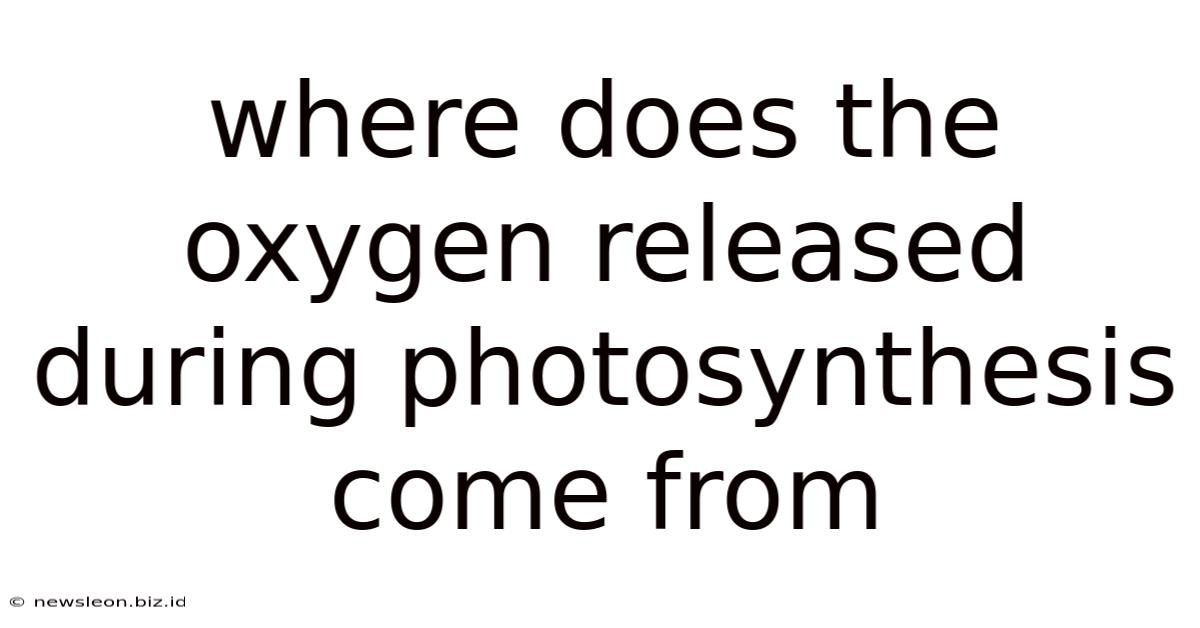 Where Does The Oxygen Released During Photosynthesis Come From