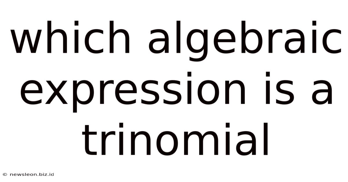 Which Algebraic Expression Is A Trinomial
