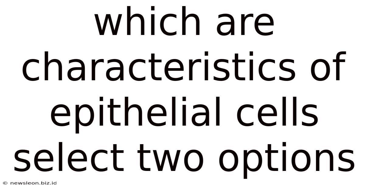 Which Are Characteristics Of Epithelial Cells Select Two Options