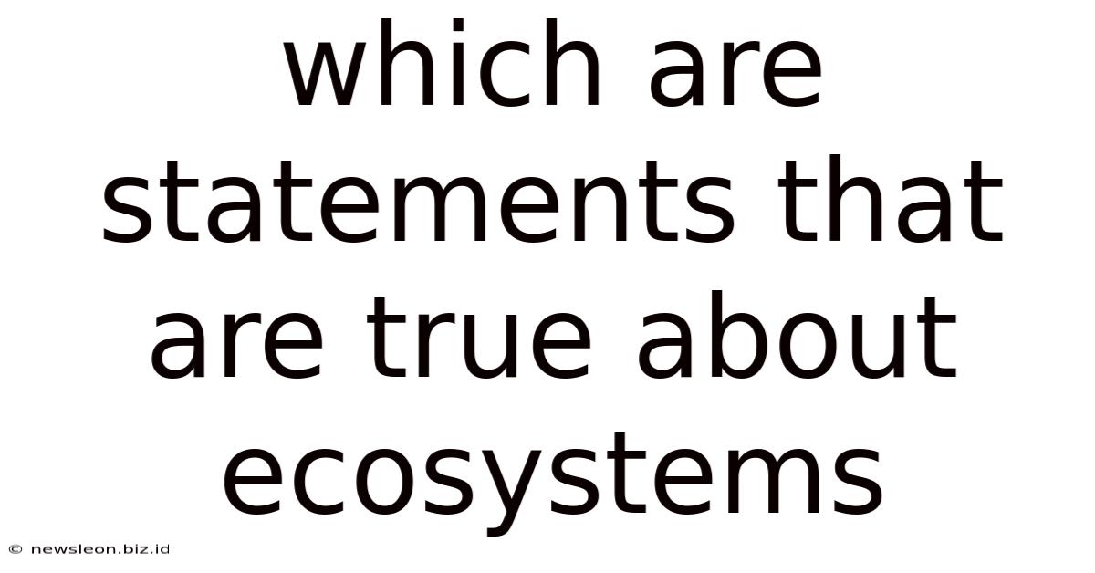 Which Are Statements That Are True About Ecosystems