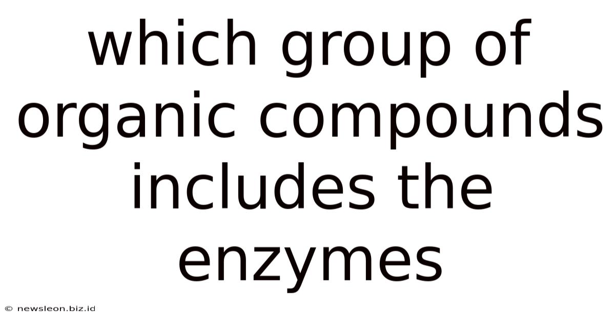 Which Group Of Organic Compounds Includes The Enzymes