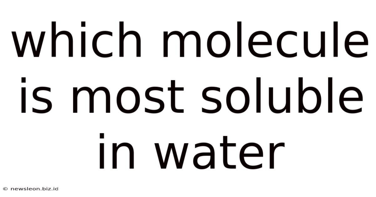 Which Molecule Is Most Soluble In Water