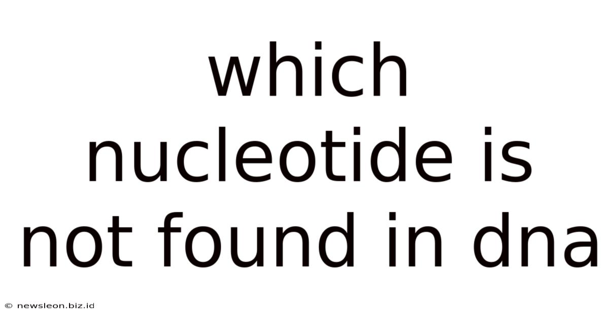 Which Nucleotide Is Not Found In Dna