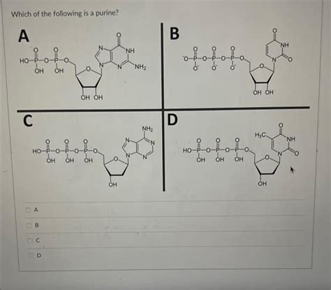 Which Of The Following Are Purines