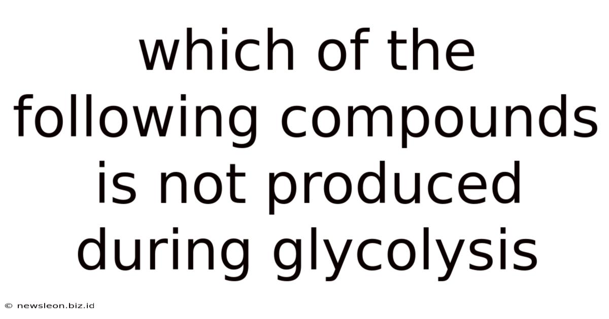 Which Of The Following Compounds Is Not Produced During Glycolysis