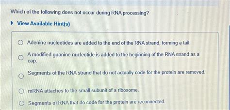 Which Of The Following Does Not Occur During Rna Processing