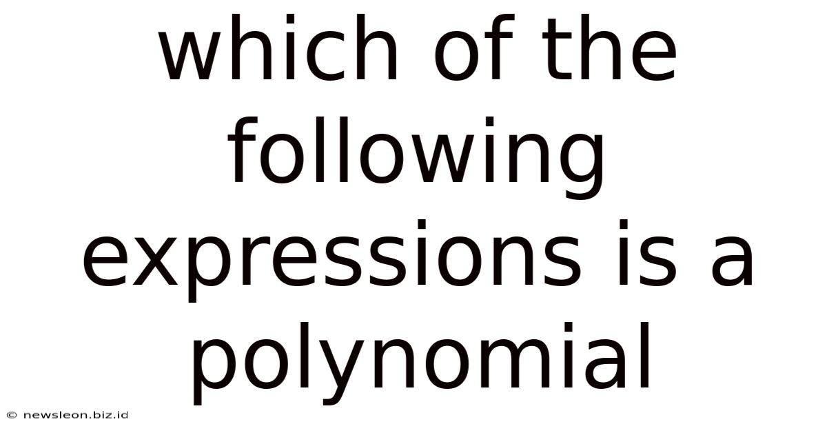 Which Of The Following Expressions Is A Polynomial