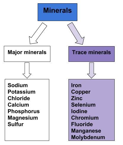 Which Of The Following Is A Characteristic Of Trace Minerals