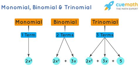 Which Of The Following Is A Monomial