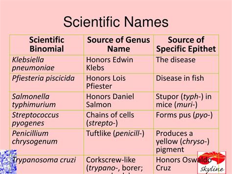 Which Of The Following Is A Scientific Name