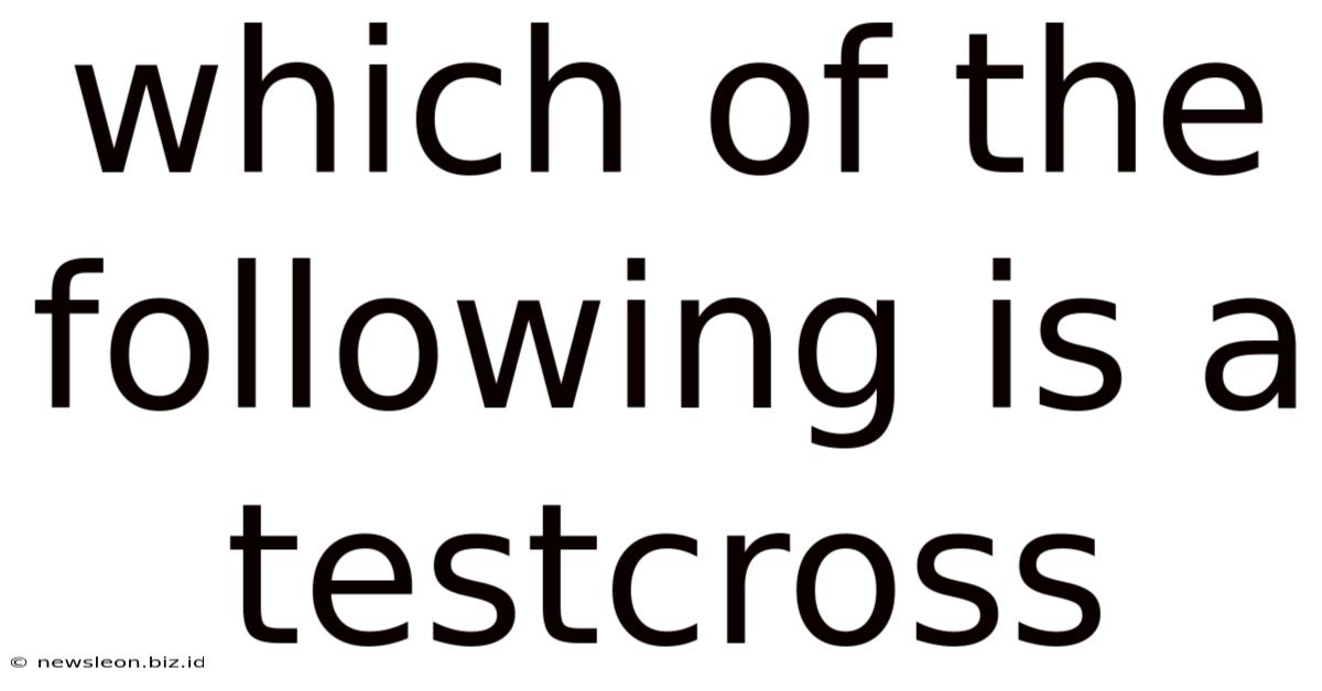 Which Of The Following Is A Testcross
