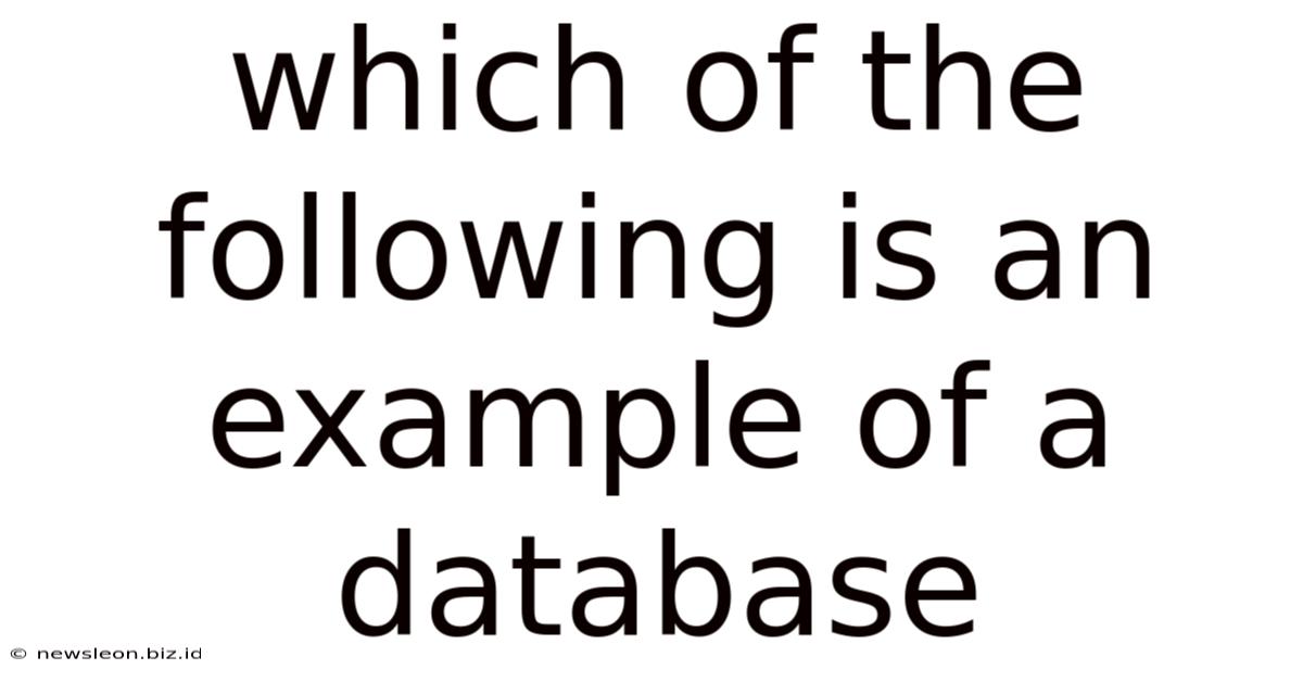 Which Of The Following Is An Example Of A Database