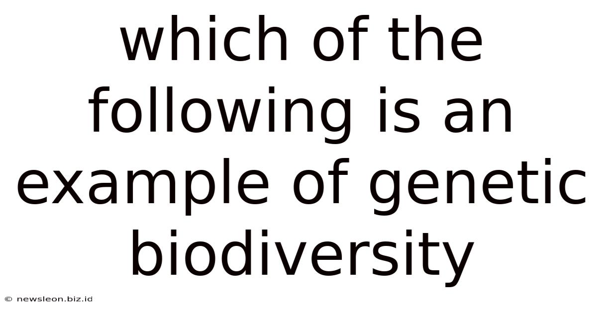 Which Of The Following Is An Example Of Genetic Biodiversity