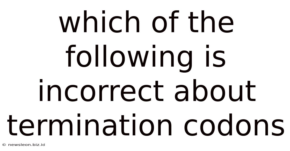 Which Of The Following Is Incorrect About Termination Codons