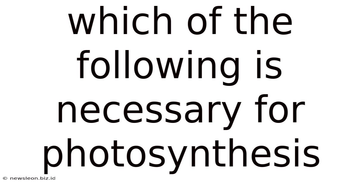 Which Of The Following Is Necessary For Photosynthesis