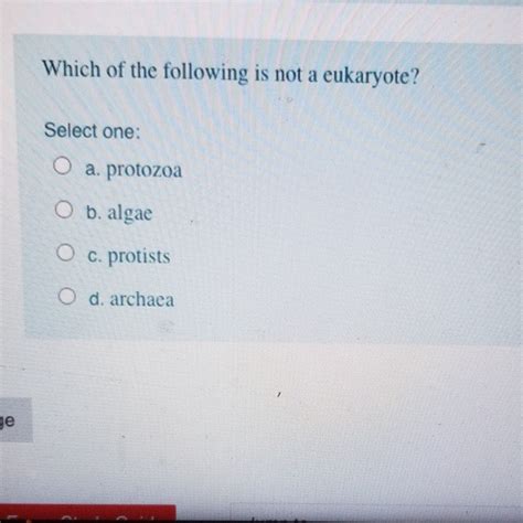 Which Of The Following Is Not A Eukaryote