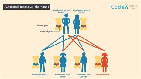 Which Of The Following Is Not A Genetic Disorder