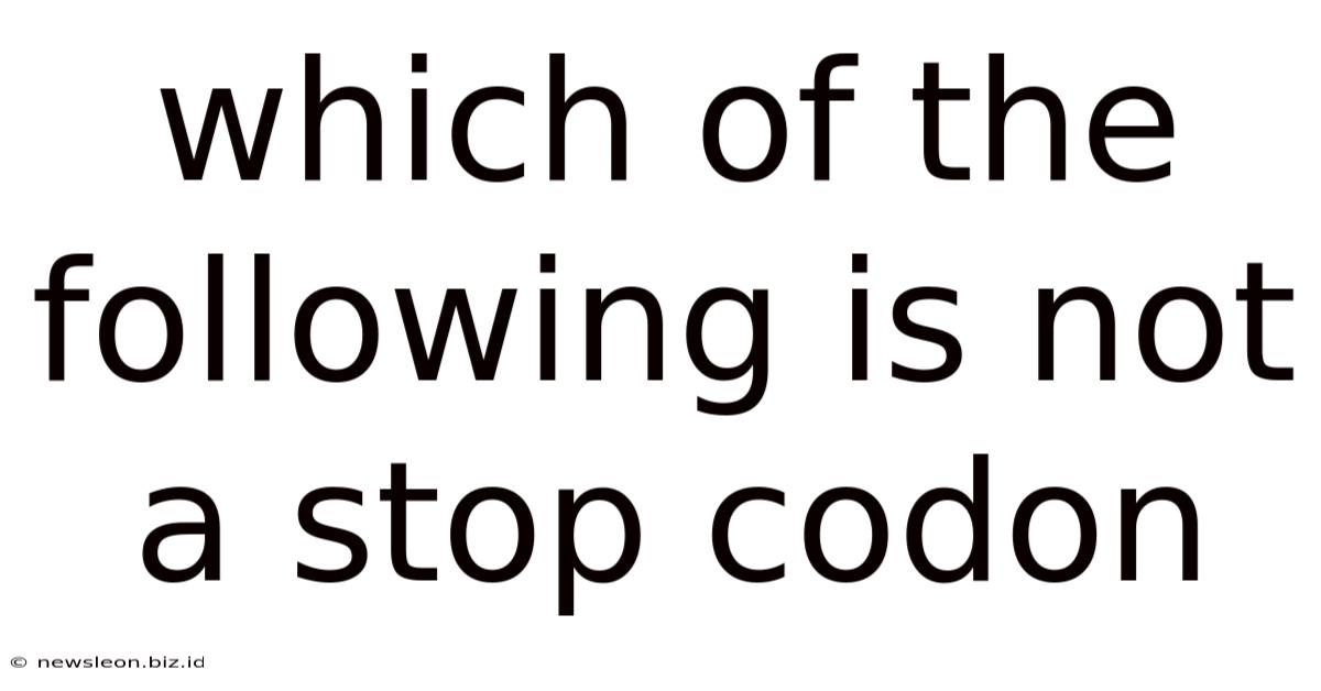 Which Of The Following Is Not A Stop Codon