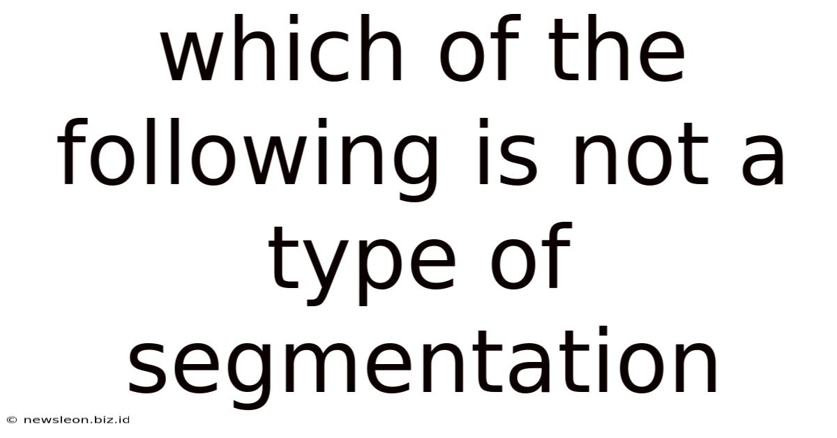Which Of The Following Is Not A Type Of Segmentation