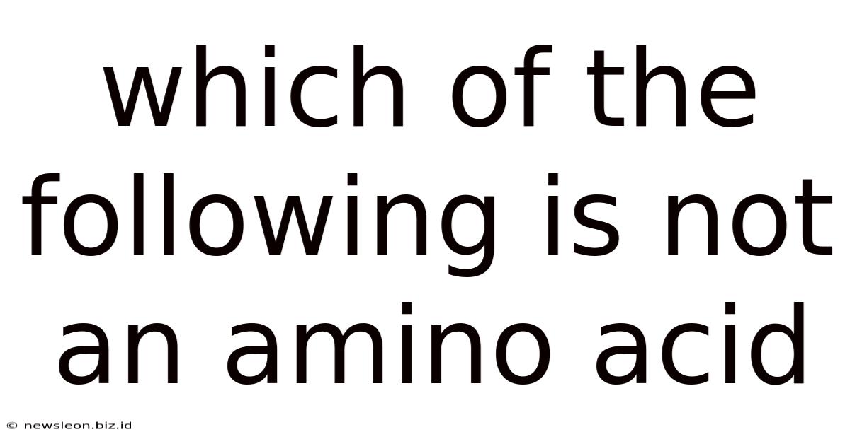 Which Of The Following Is Not An Amino Acid