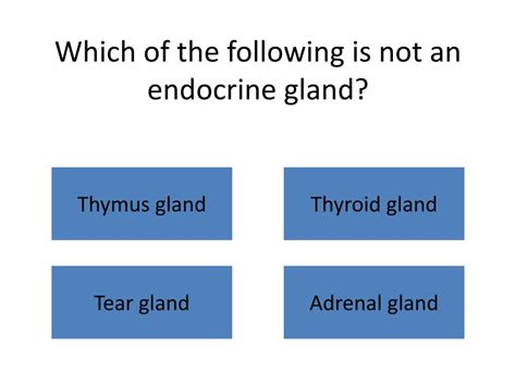 Which Of The Following Is Not An Endocrine Gland