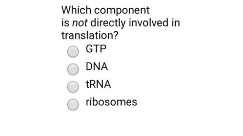 Which Of The Following Is Not True Of Rna Processing