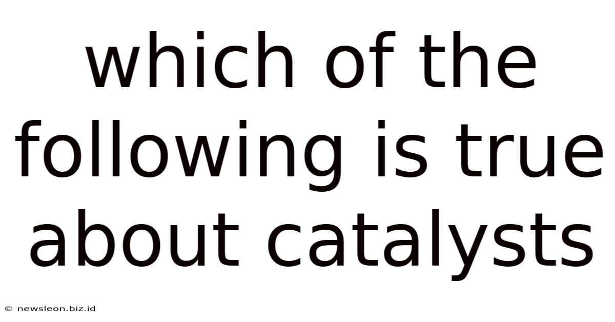 Which Of The Following Is True About Catalysts