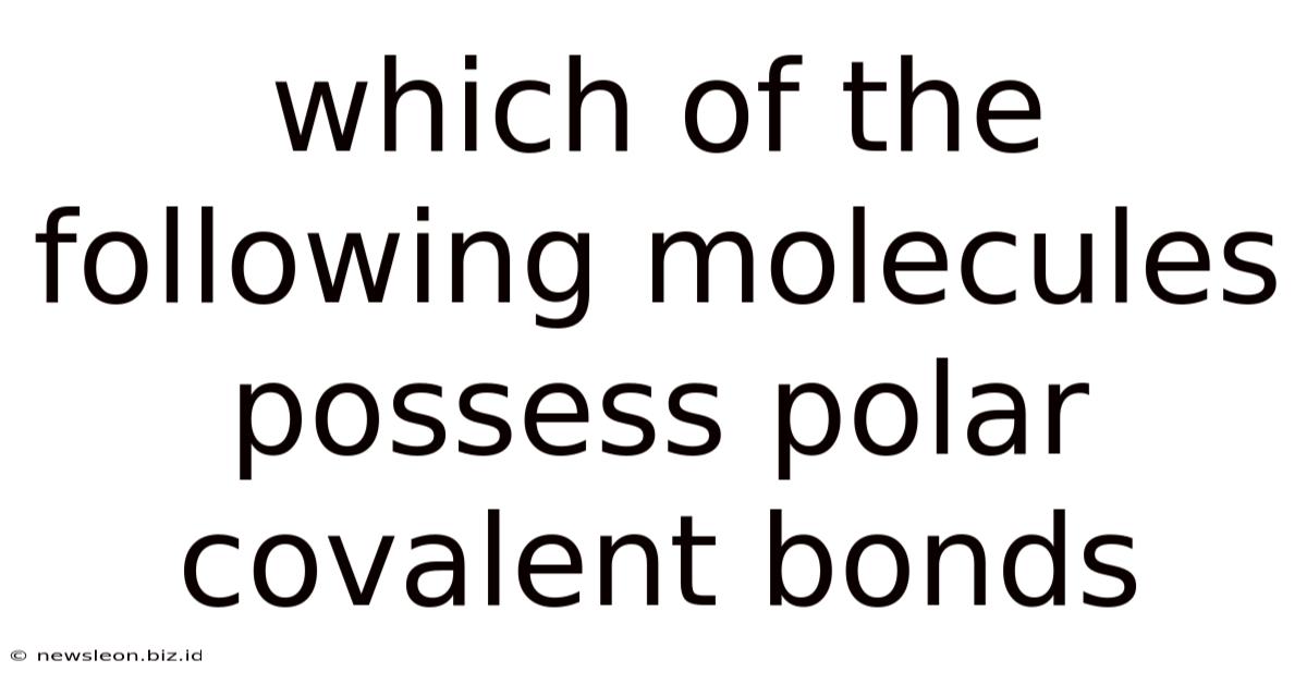 Which Of The Following Molecules Possess Polar Covalent Bonds