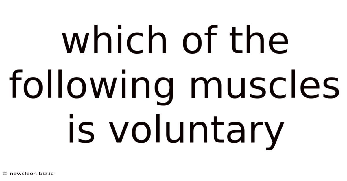 Which Of The Following Muscles Is Voluntary