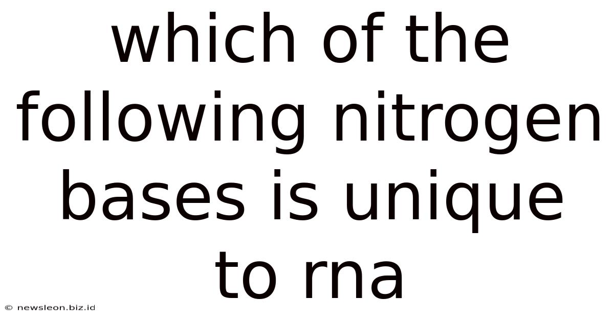 Which Of The Following Nitrogen Bases Is Unique To Rna