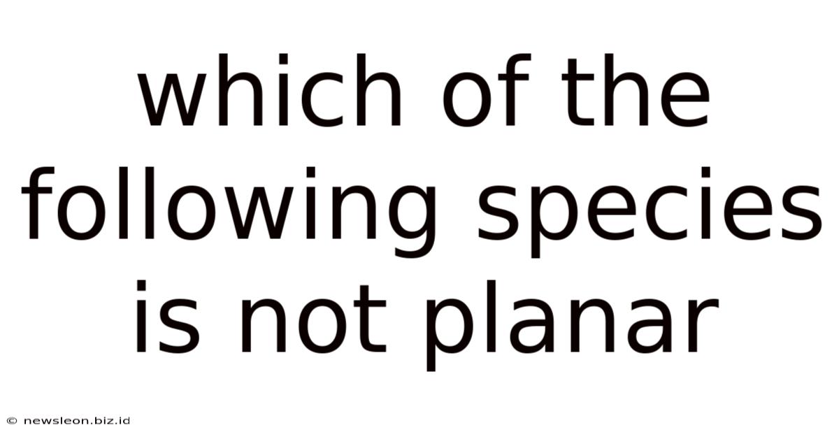 Which Of The Following Species Is Not Planar