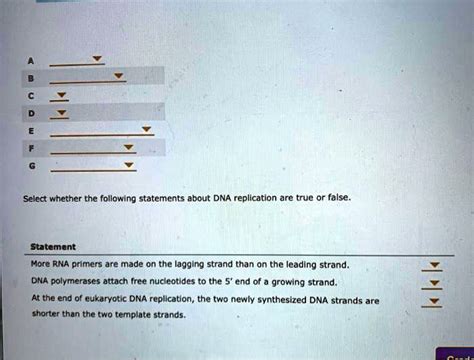 Which Of The Following Statements About Dna Replication Is True