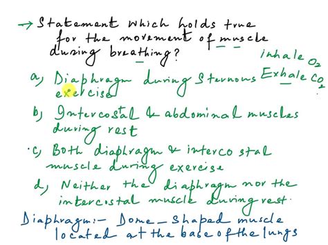 Which Of The Following Statements Regarding A Diaphragm Is True