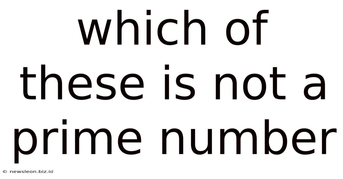 Which Of These Is Not A Prime Number