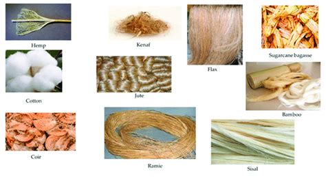 Which One Of The Following Is Natural Fibre