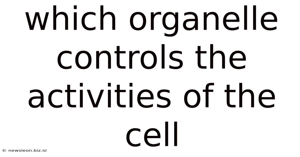 Which Organelle Controls The Activities Of The Cell