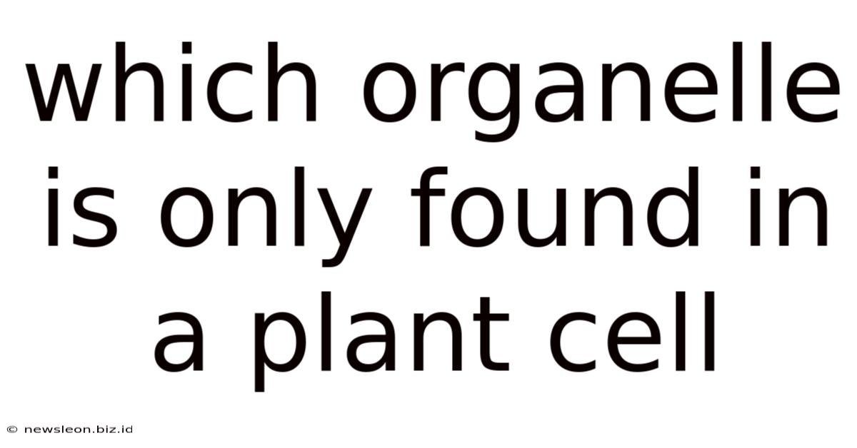 Which Organelle Is Only Found In A Plant Cell