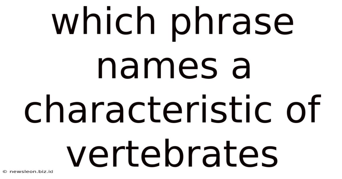 Which Phrase Names A Characteristic Of Vertebrates