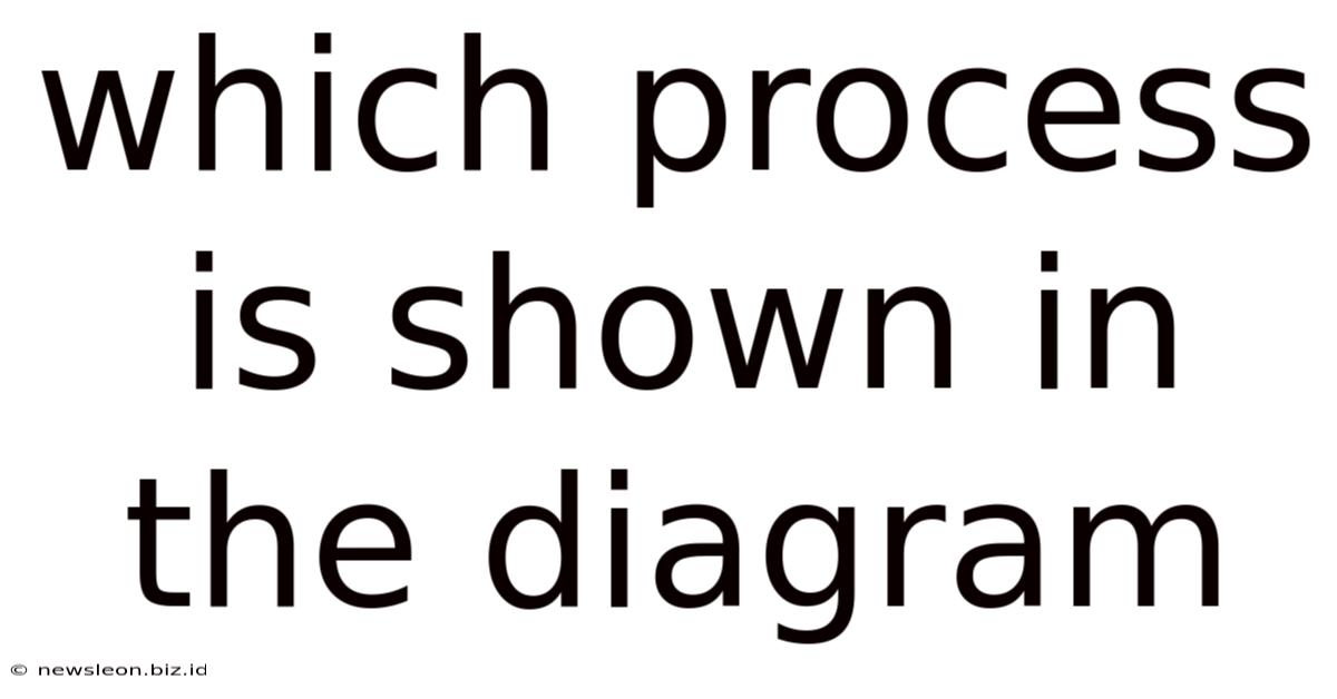 Which Process Is Shown In The Diagram