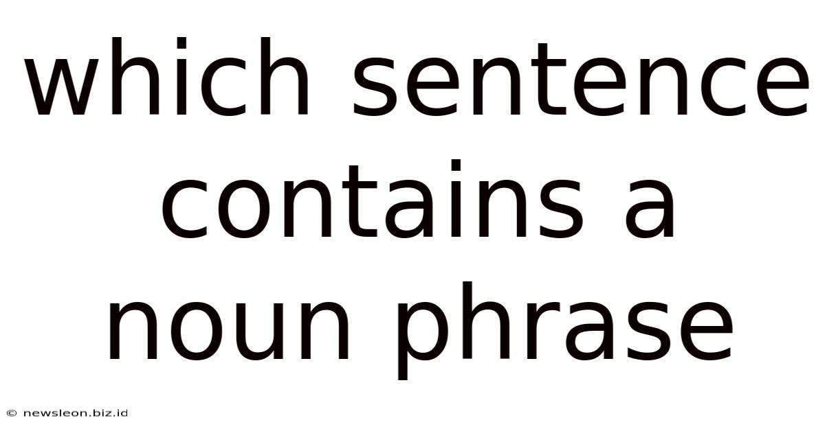 Which Sentence Contains A Noun Phrase