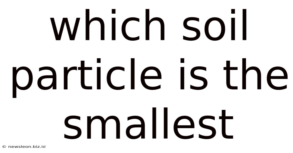 Which Soil Particle Is The Smallest