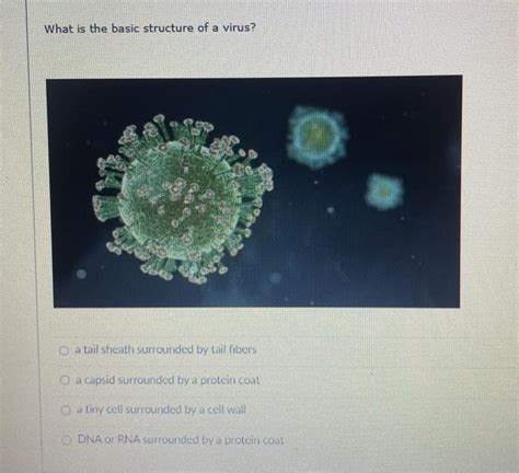 Which Statement About Bacteria Is True