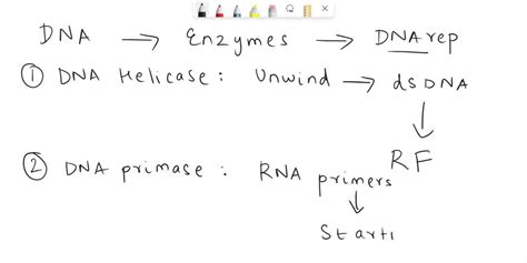 Which Statement About Dna Replication Is False