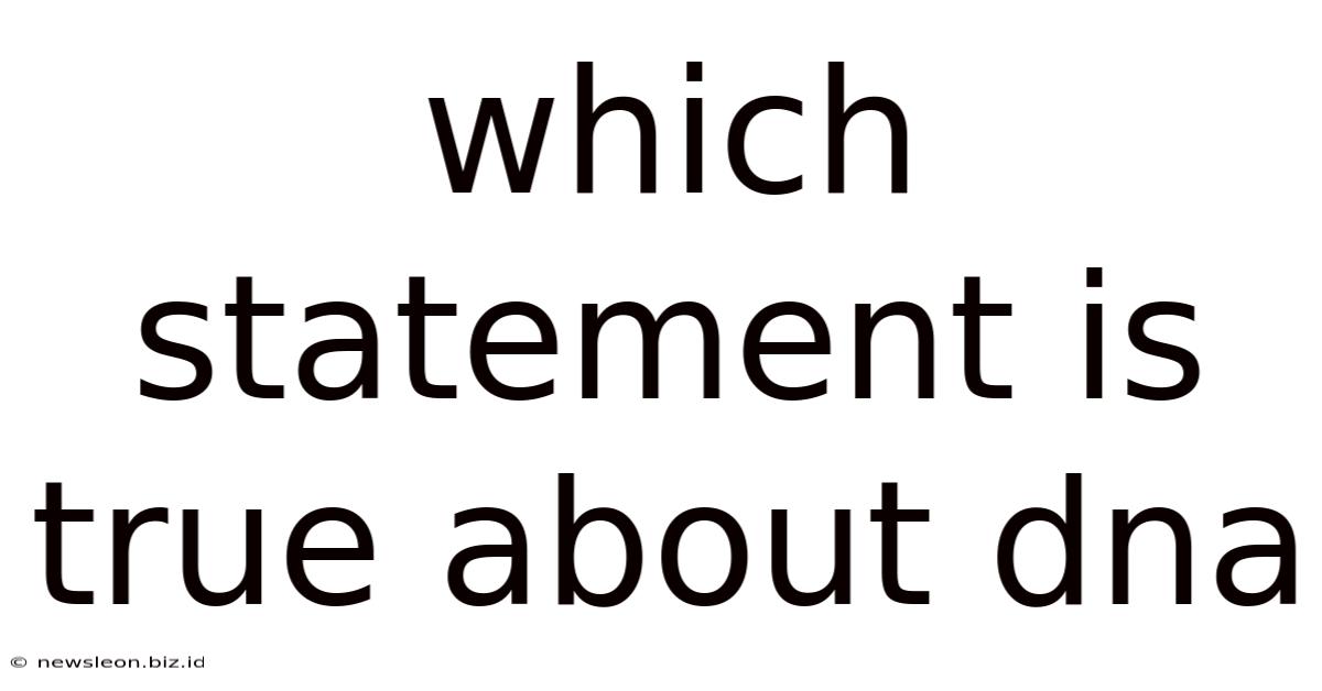 Which Statement Is True About Dna