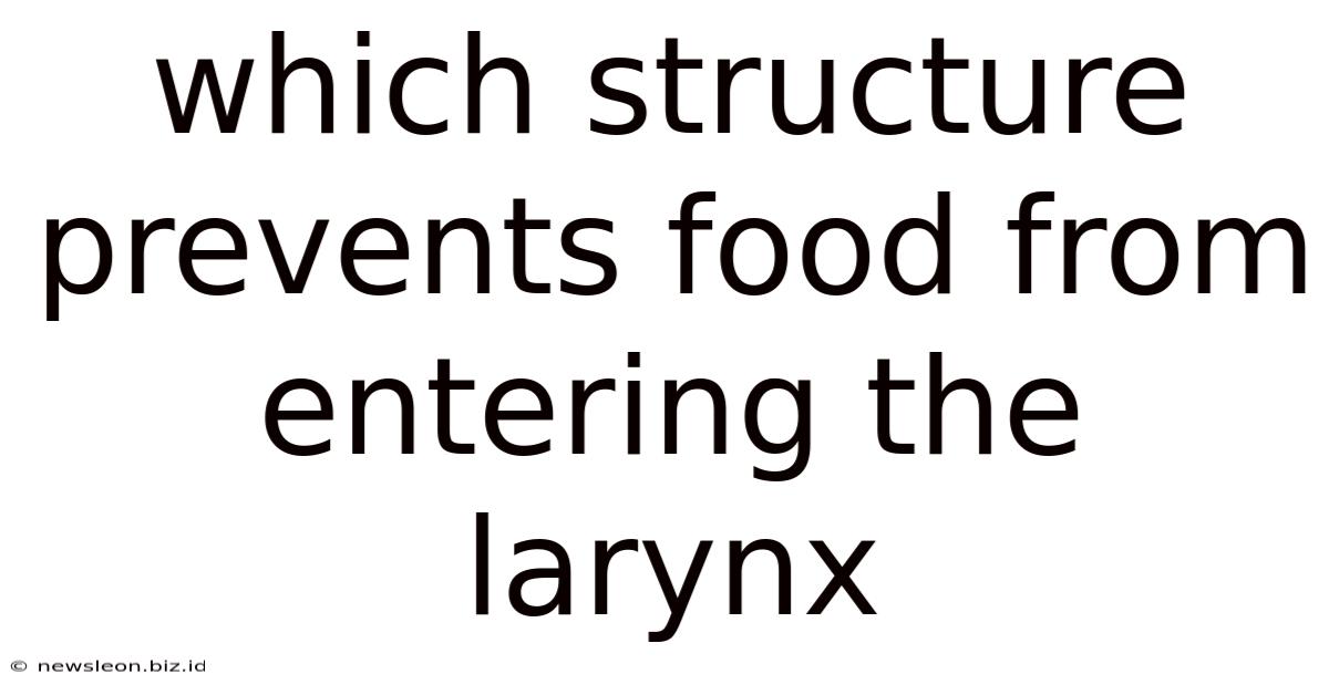 Which Structure Prevents Food From Entering The Larynx