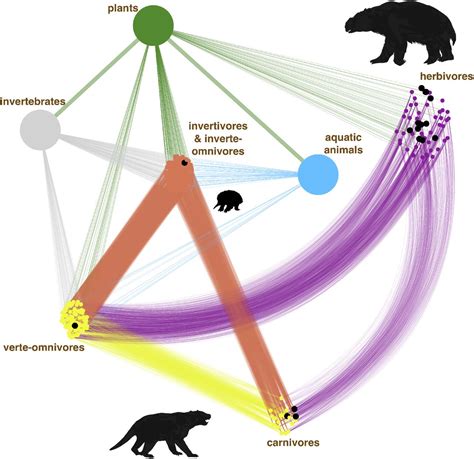 Which Trophic Level Is Most Vulnerable To Extinction