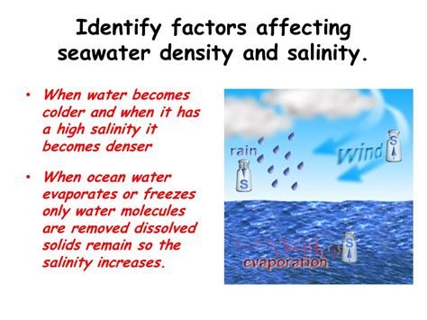 Which Two Factors Determine The Density Of Seawater